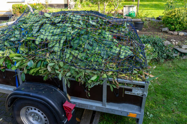 Trusted Geneva, IN Junk Removal Services Experts